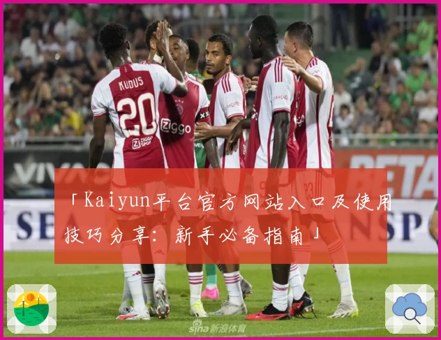 「Kaiyun平台官方网站入口及使用技巧分享：新手必备指南」