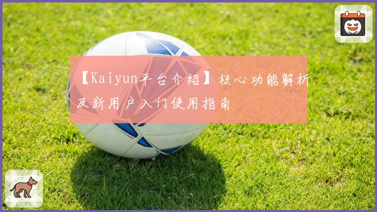 【Kaiyun平台介绍】核心功能解析及新用户入门使用指南